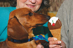 Rusty's birthday